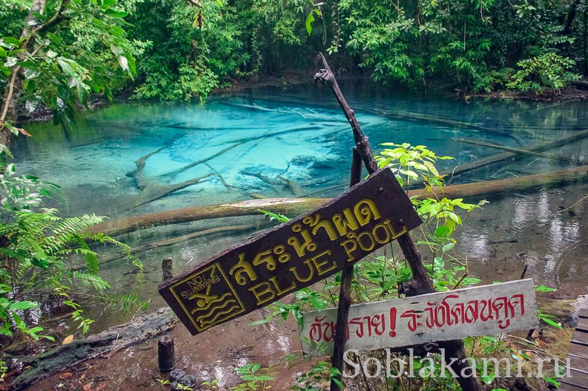 Emerald pool  и горячие источники в Краби