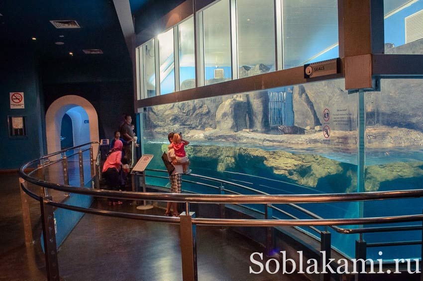 океанариум на острове Лангкави, Underwater World Langkawi