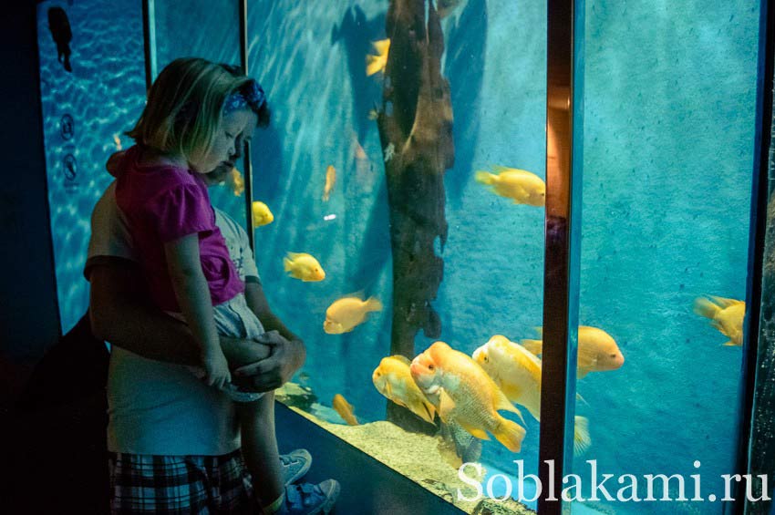 океанариум на острове Лангкави, Underwater World Langkawi