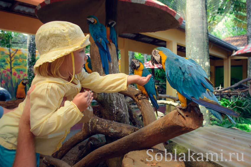 Парк дикой природы на Лангкави (Bird Paradise Wildlife Park Langkawi)