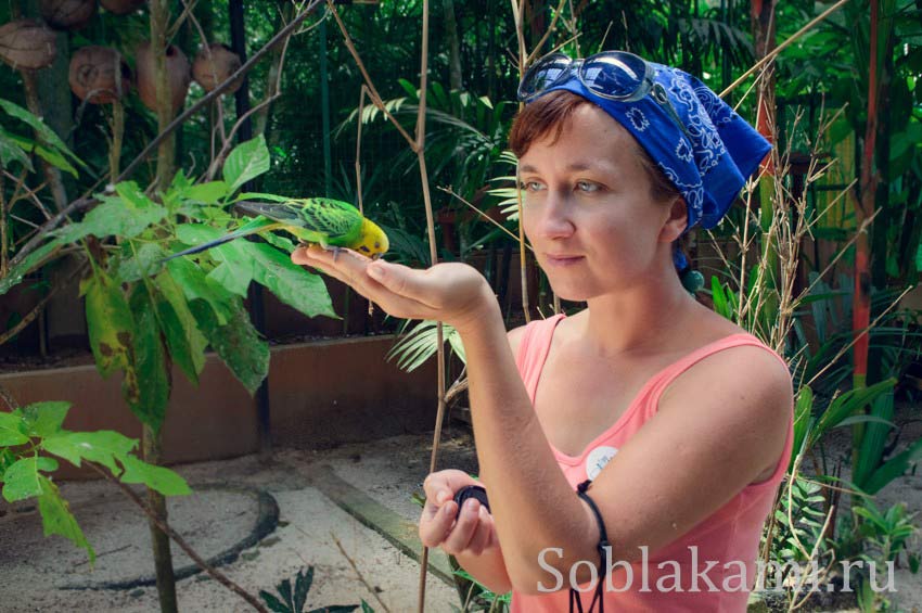 Парк дикой природы на Лангкави (Bird Paradise Wildlife Park Langkawi)