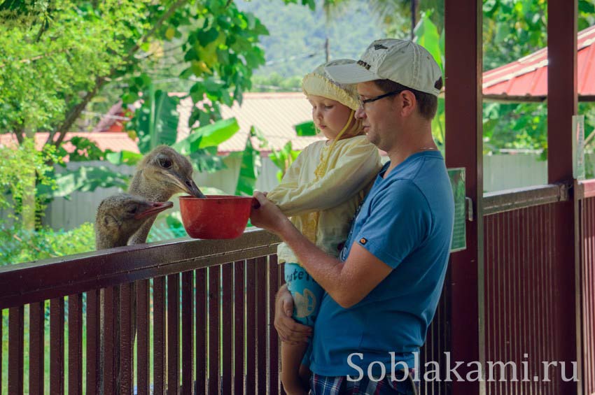 Парк дикой природы на Лангкави (Bird Paradise Wildlife Park Langkawi)