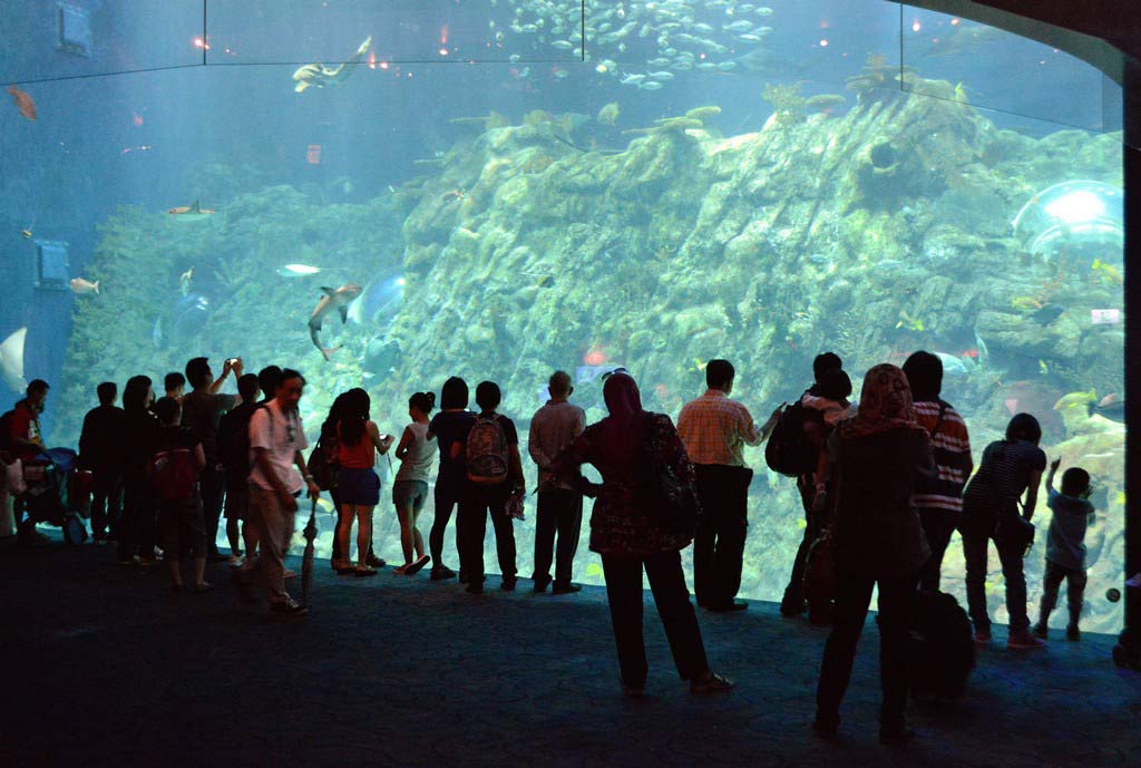 Оушен Парк, Гонконг, Ocean Park, Hongkong