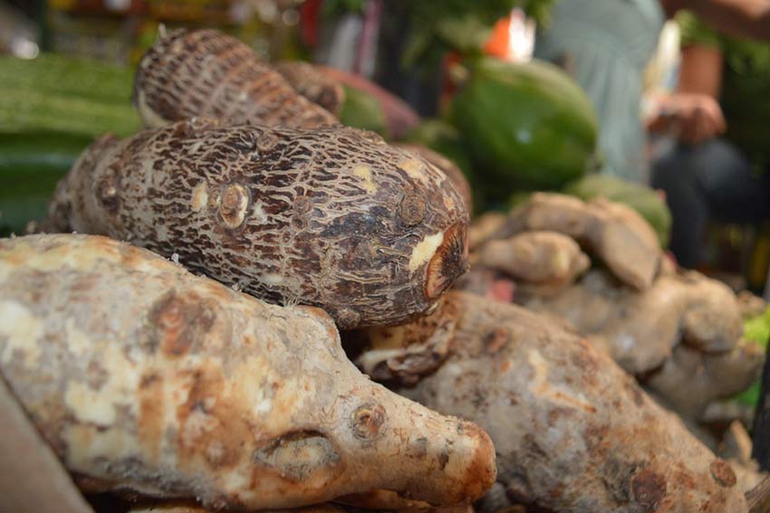 азиасткие овощи, Asian vegetables,