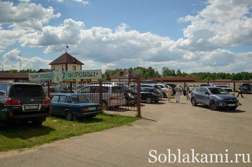 Парк птиц "Воробьи" в Калужской области