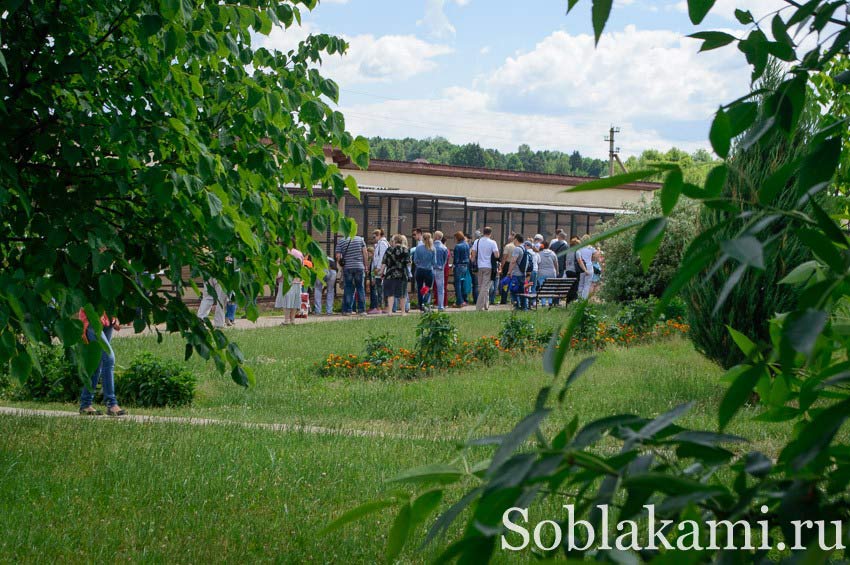 Парк птиц "Воробьи" в Калужской области