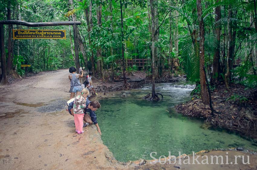 Hot Springs Waterfal (Ron Waterfall) и Emerald pool (Crystal pond, Sa Morakot) в Краби