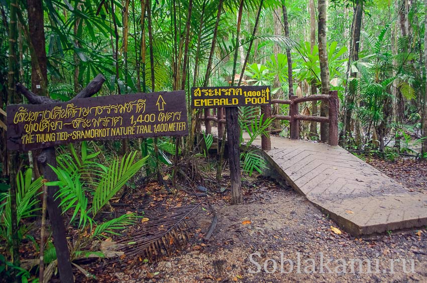 Hot Springs Waterfal (Ron Waterfall) и Emerald pool (Crystal pond, Sa Morakot) в Краби