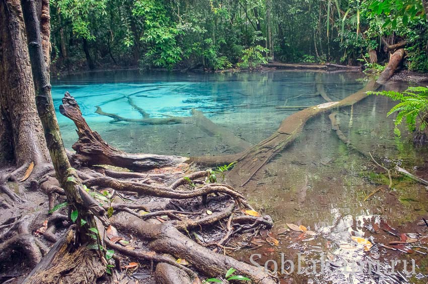 Hot Springs Waterfal (Ron Waterfall) и Emerald pool (Crystal pond, Sa Morakot) в Краби