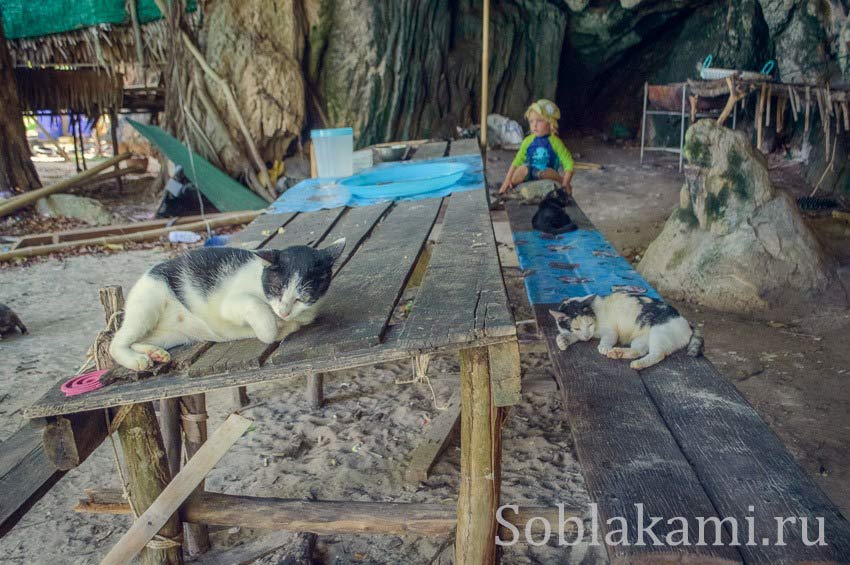 Hong and Paradise islands, Krabi, острова Хонг и Парадайз в Краби