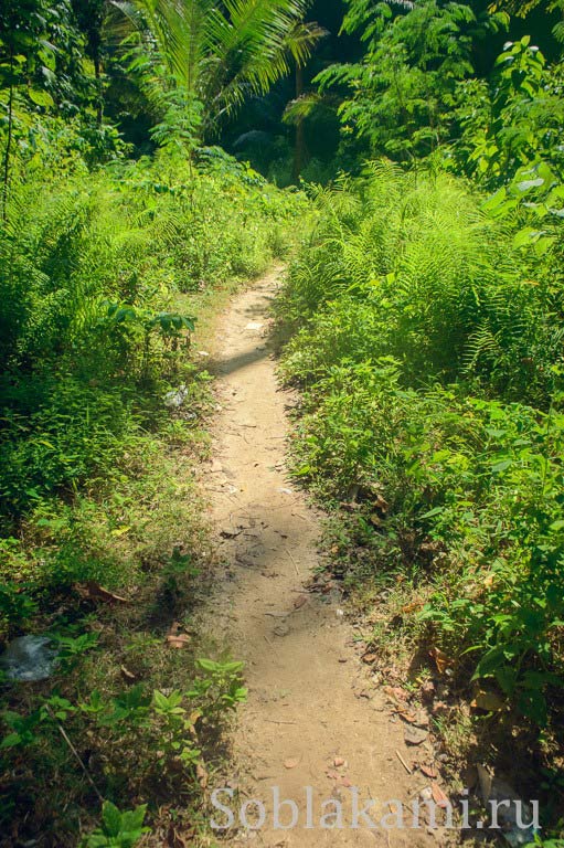 Hong and Paradise islands, Krabi, острова Хонг и Парадайз в Краби