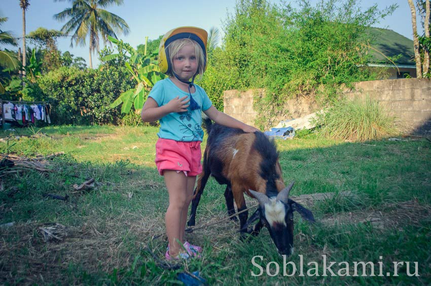 Hong and Paradise islands, Krabi, острова Хонг и Парадайз в Краби