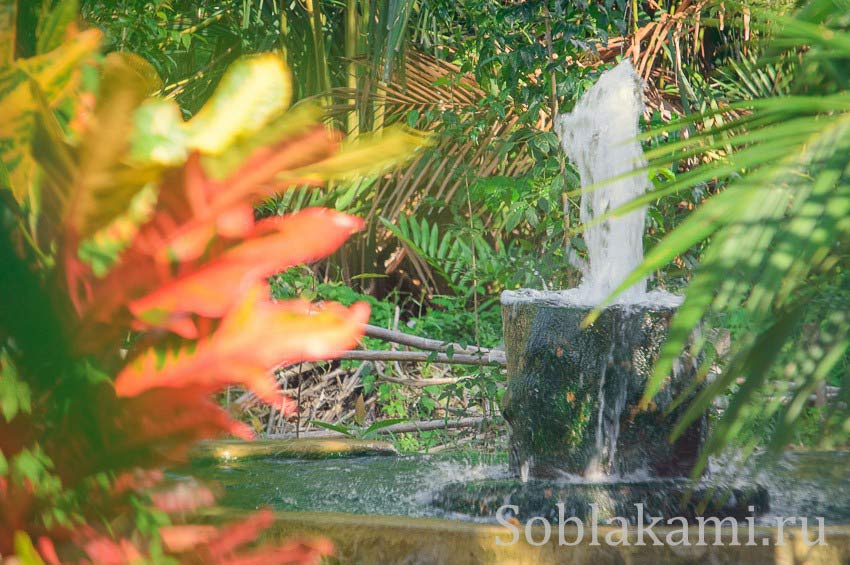 горячие источники в Краби, Таиланд, Krabi Hotsprings