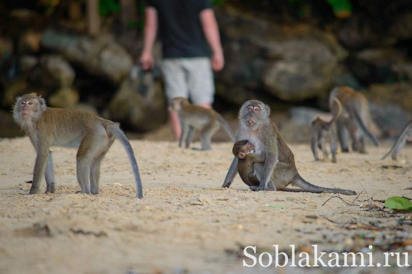 Все пляжи Краби  - Ao Nang Beach