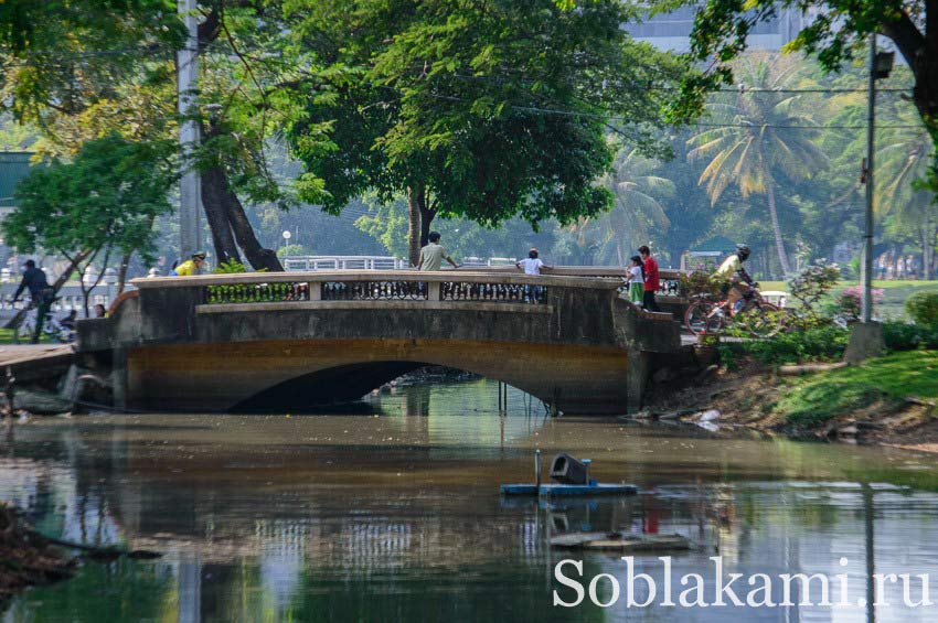 парк Люмпини в Бангкоке,Таиланд (Lumphini park Bangkok)