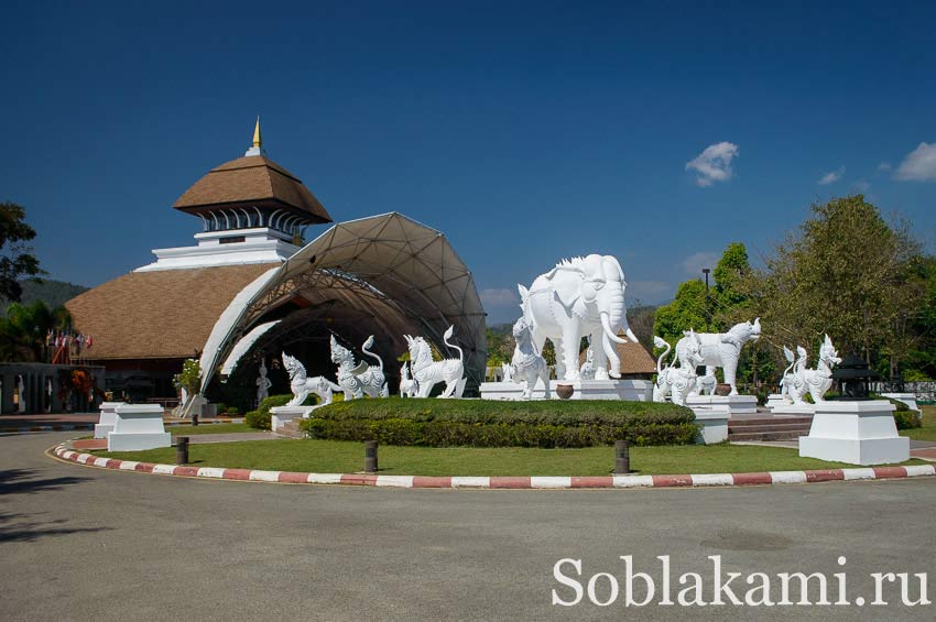 Chiang Mai Night safari, Ночное сафари в Чиангмае, фото