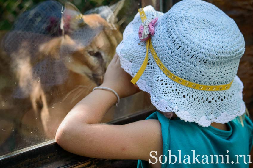 Chiang Mai Night safari, Ночное сафари в Чиангмае, фото