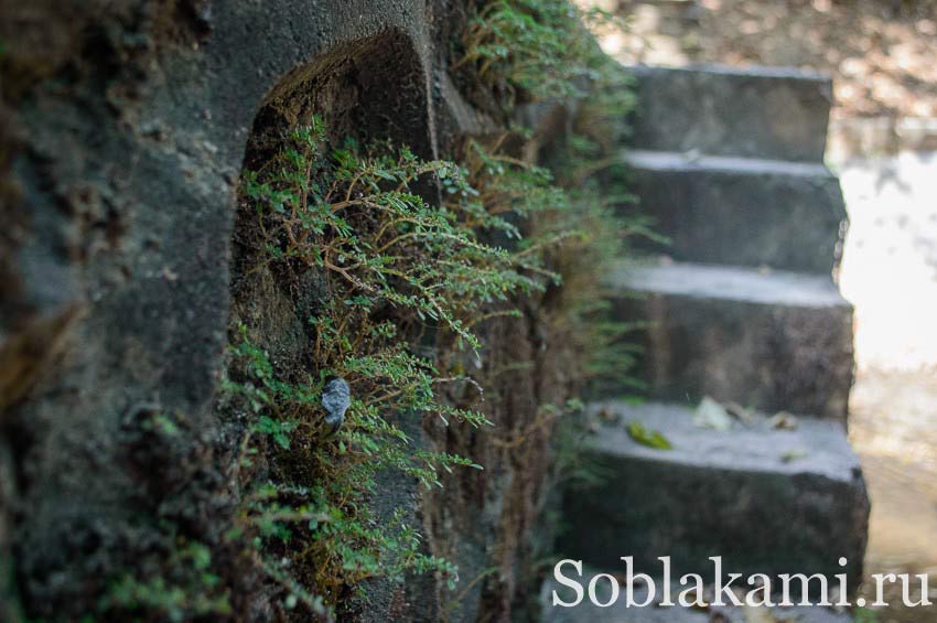Водопад Кату на Пхукете, фото, отзывы