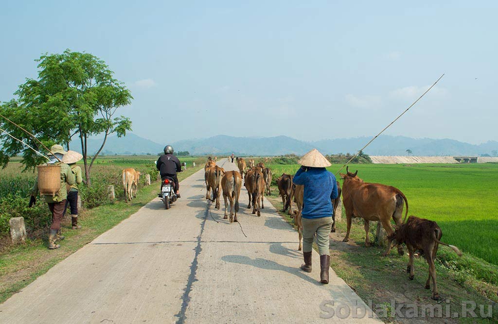 Даклак, Вьетнам, озеро Лак, мнонги, Dak Lak, Lak Lake, Vietnam, m'nongs