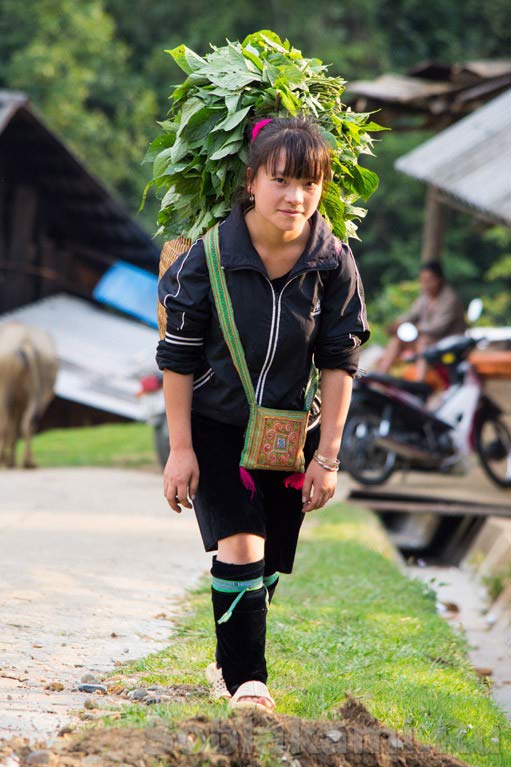 Вьетнам, Сапа, деревня Кат Кат (Cat Cat), как живут хмонги в провинции Лао Кай